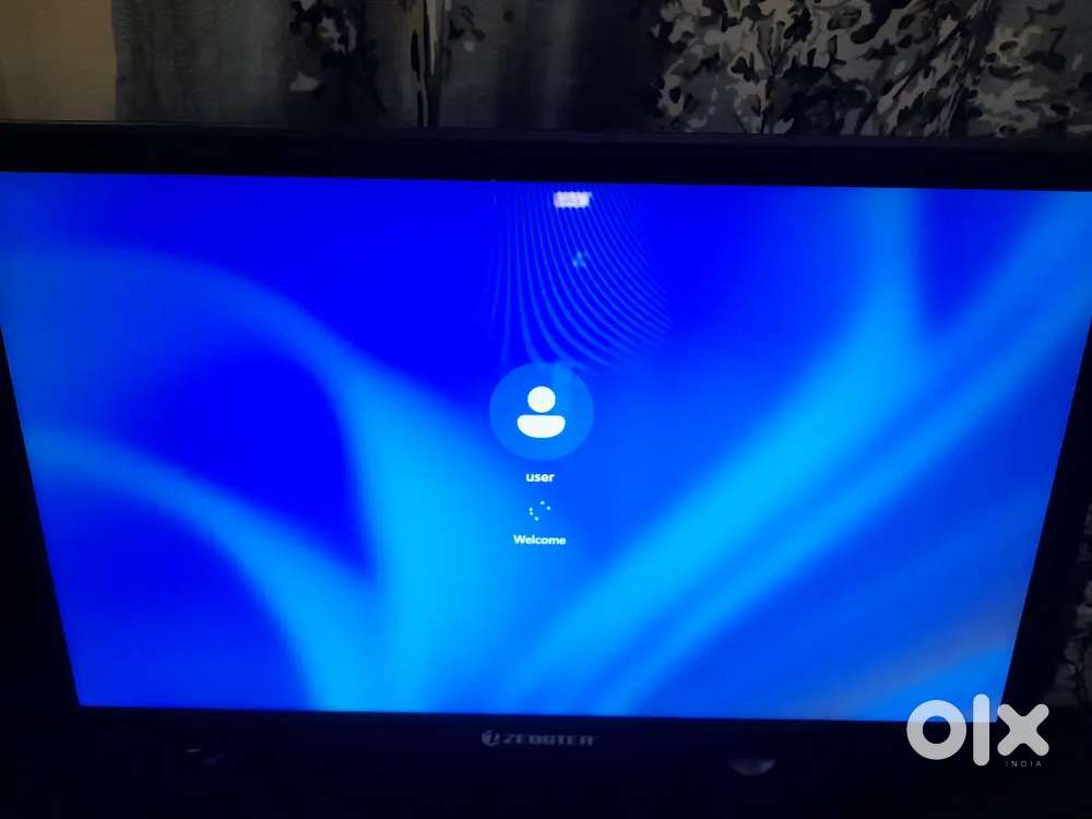 Zebster new 2week old monitor