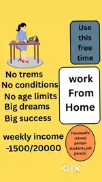 work from home online