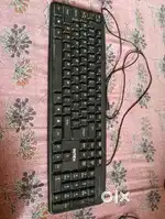 Keyboard and mouse