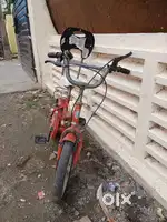 BSA cycle for kids