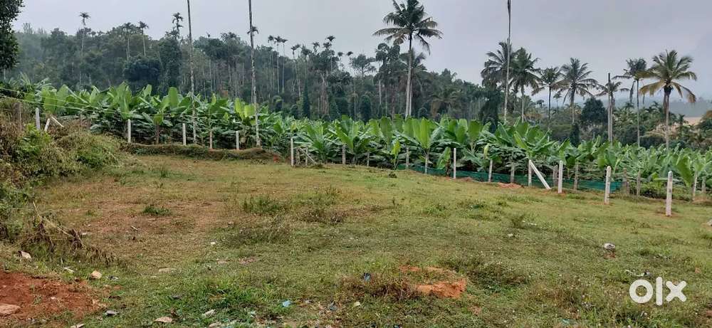 12 cent land ,near sulthan bathery town.