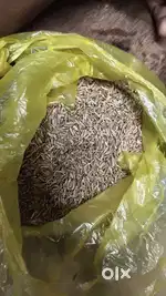 Jeera 235 natural Silver