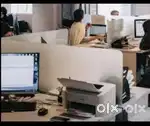Female Multi Task Assistant for office work