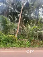 Plot for rent
