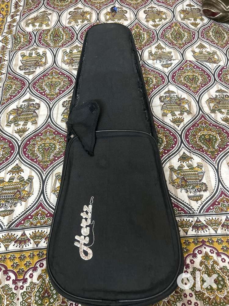 Violin (Hertz) with its cover