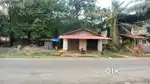Bhauche bhat