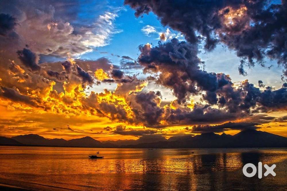 female cash handling and computer operator