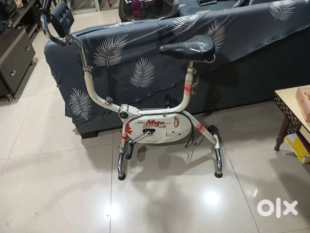 Exercise standing cycle