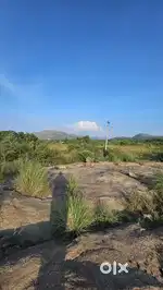Agriculture land 2.5 acres