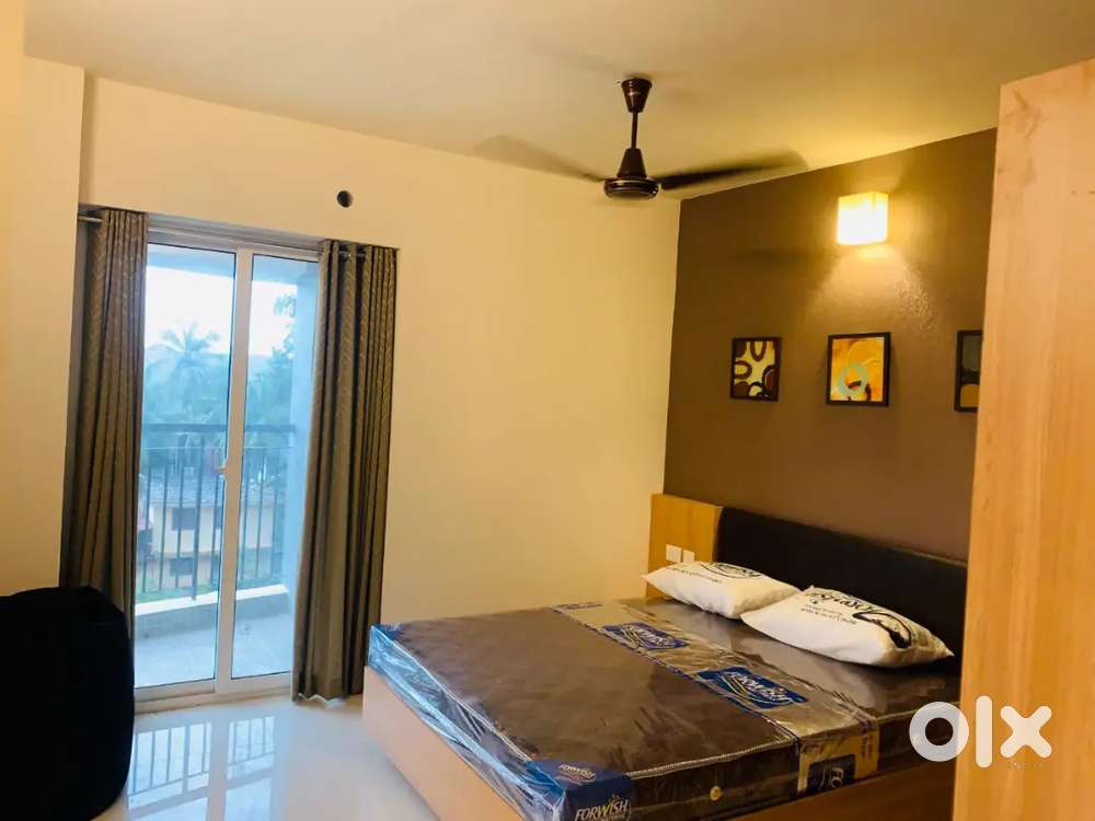 Luxury studio flat for rent near cyberpark park calicut