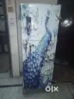 Lg double door fridge