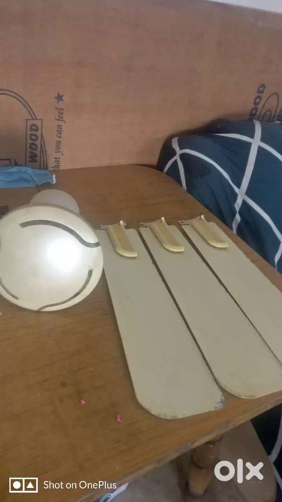 Havells & crompton fan