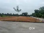 15 CENT - FARM LAND ROAD FACE
