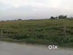 Land in jewar