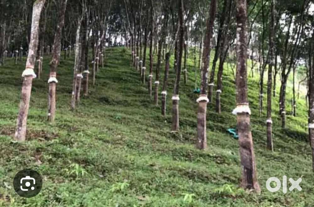 10 Acer Rubber Estate Mudakayam Town Near