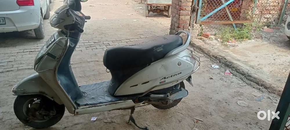 Only paecnal process