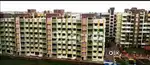 2 Bhk fully furnished flat for family only