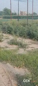 242Gj plot for sale in altus phase 1 new chandigarh