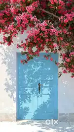 Any 1RK or 1BHK room needed near by govindraj nagar /chandra layout
