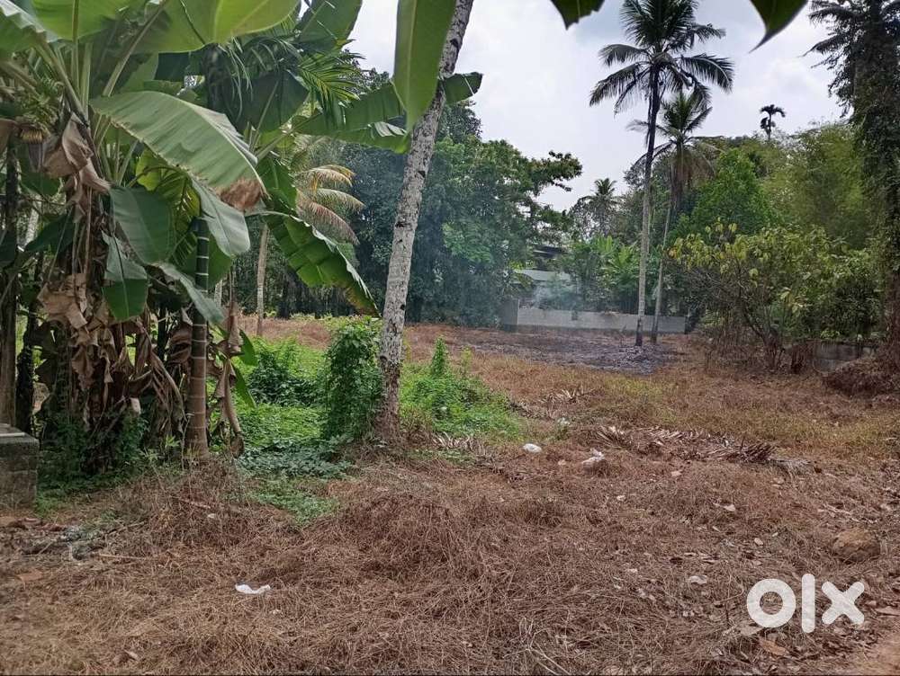 plot  near thiruvalla