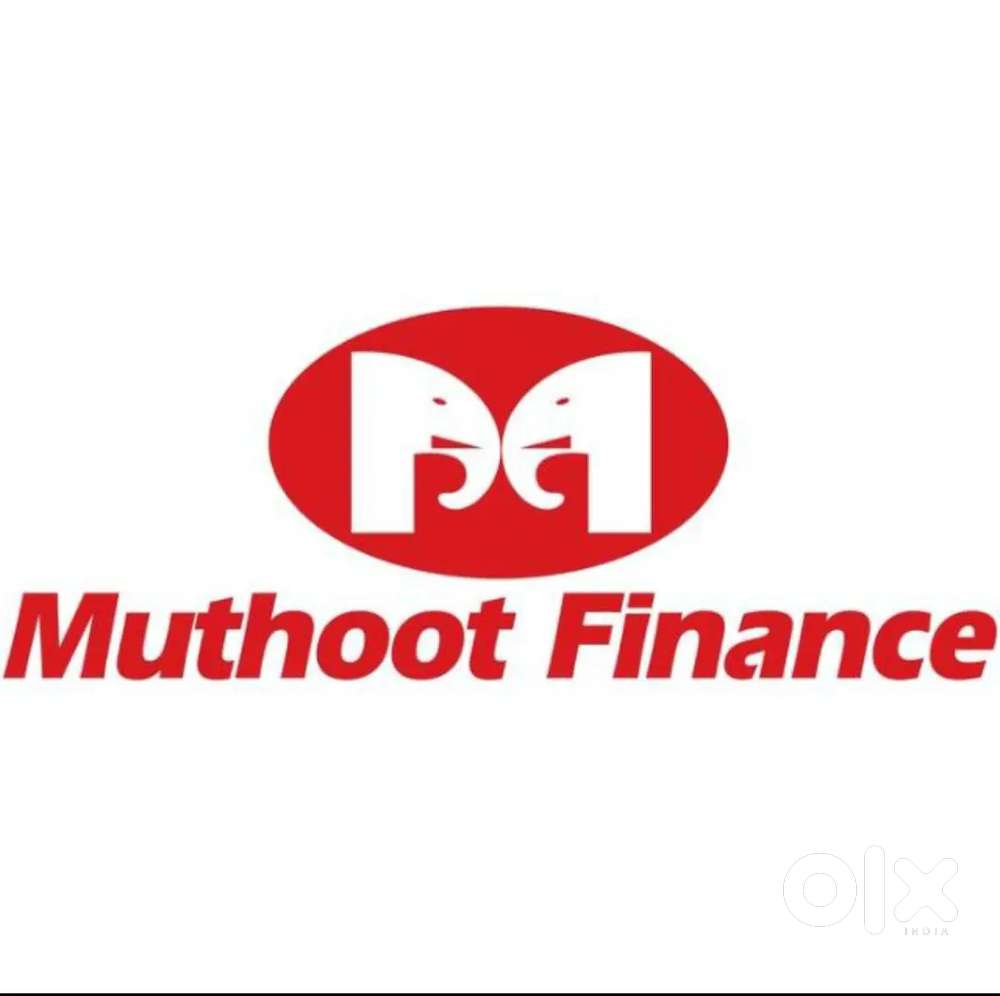 Field Sales Officer