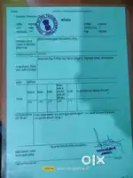 Plot near Angul for sale