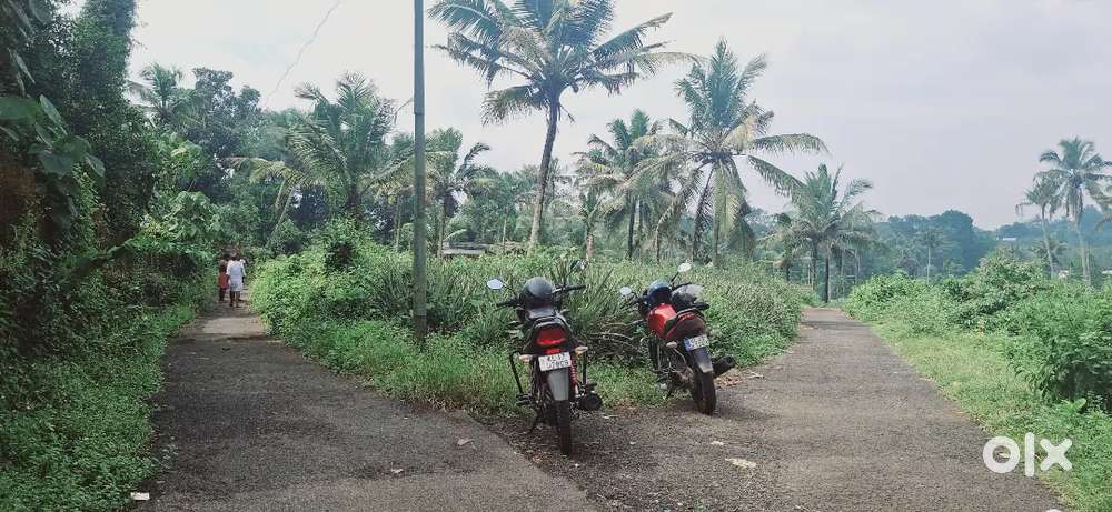 7,10,15 CENT HOUSE PLOT AVAILABLE NEAR MUVATTUPUZHA THRIKKALATHOOR