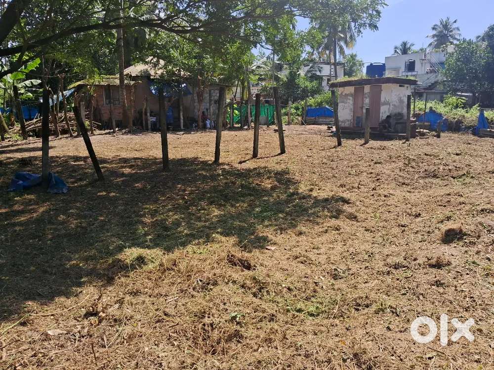 Land for sale Arookutty vadthala