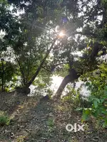 river touch agricultural plot for sale