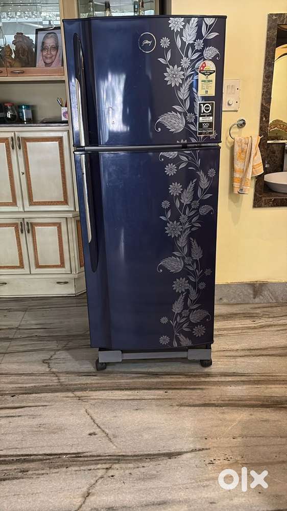 Godrej 236L Double Door Fridge