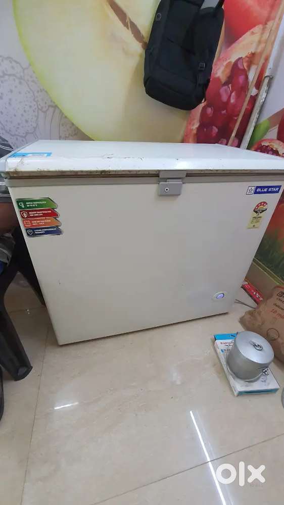 Blue Star heavy duty single door freezer under warranty
