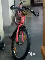 Two wheeler cycle