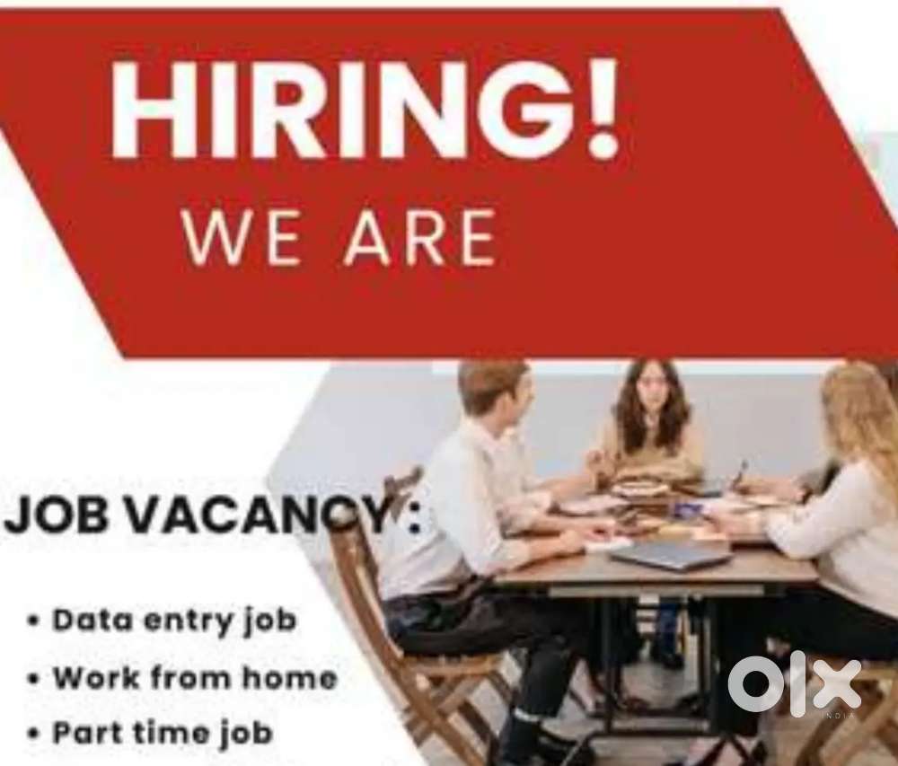 DATA ENTRY OFFLINE JOB