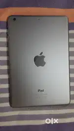 iPad mini 2