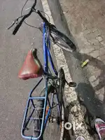 Stylish cycle