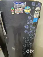 We want to sell our good conditioned fridge.