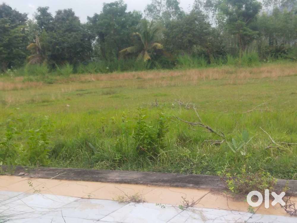 Near google data center vizag, 200 sq ,vuda,tarluvaada , negotiable