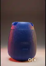 BT SPEAKER
