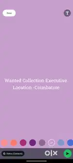 Wanted Collection Executive