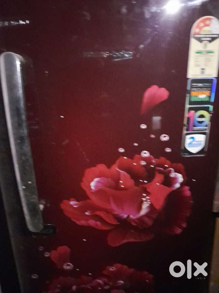 Shifting house from lucknow to punjab