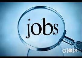 Jobs/home based jobs are available
