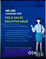 Gpay Field Sales Executive