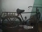 By Cycle    .