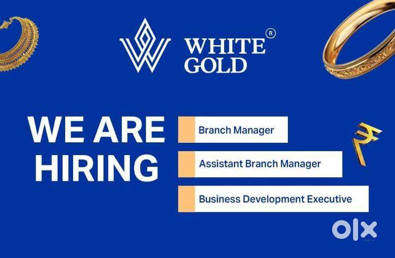 Branch Manager /Assistant Branch Manager/BDE