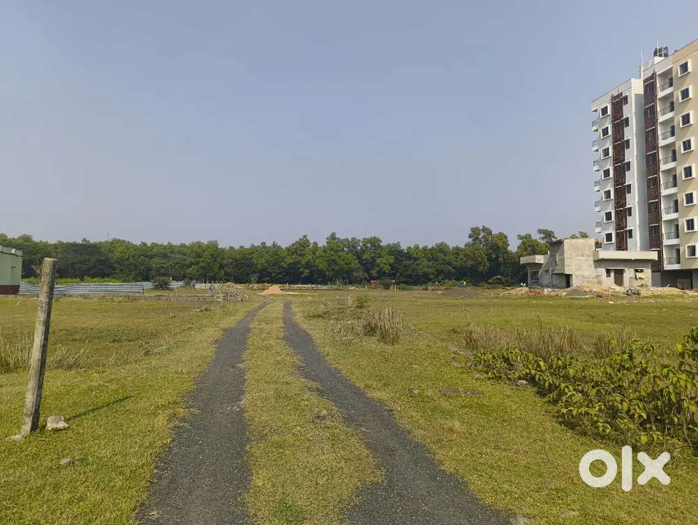 Plot available at kaliganj, Saptarshi Park, Fuljhore, Shirsti nagar