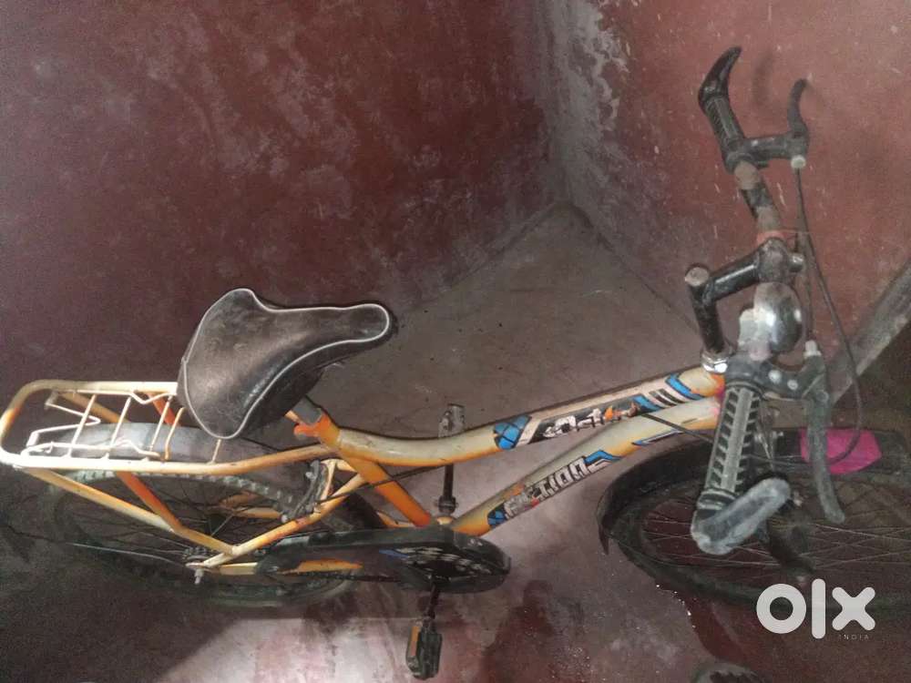 1 year old (Milton Cycle)
