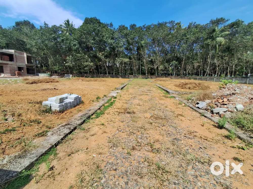 6, cent premium plot for sale near mankekakadav