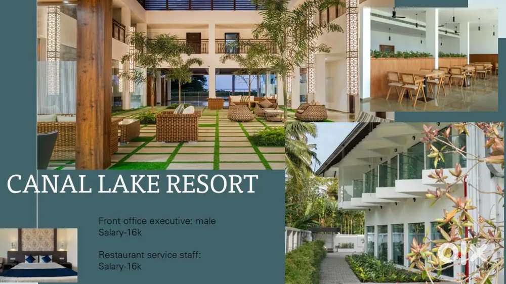 receptionist, service staff F&B Manager