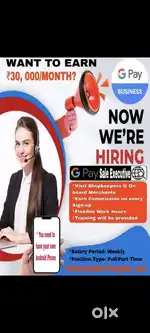Google Pay Business Sales Partner Required Weekly Payout