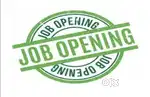 Office accountant